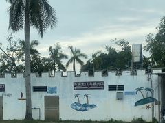 -广东花都香草世界旅游度假区