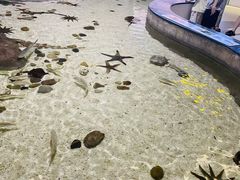 -福州罗源湾海洋世界旅游区