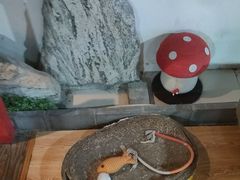 -白兔子密室(长寿路店)