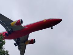 -空港花田景区