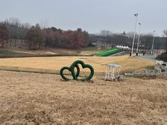 -大塘金香草谷