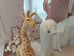 -艾薇朵朵全套房月子中心(江宁店)