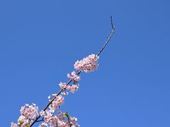 -新江湾城公园
