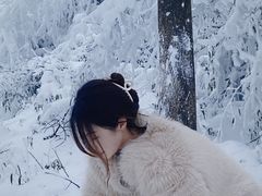 -齐岳山