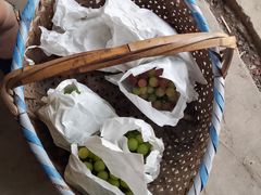 -马陆小张葡萄园农家乐