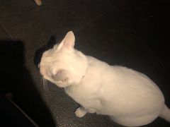 -Doors独立剧情密室(东门分店)