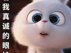 -红跑车蛋糕世界(清江路店)