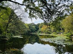 -灵谷景区