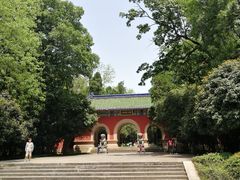 -灵谷景区