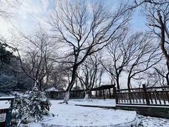 -紫金山山顶公园