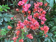 -祥源·阜阳生态乐园