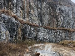 -黄埔油麻山森林公园