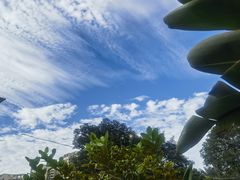 -蟹田居·活蟹料理(东城店)