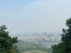 -八卦田遗址公园