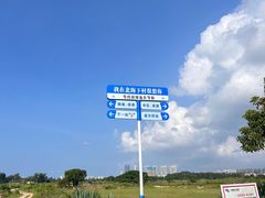 -北海金海湾红树林生态旅游区