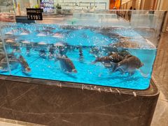 -艳阳天·非遗楚菜(武汉客厅店)