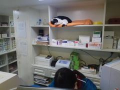 -安安宠医·安宠宠物医院