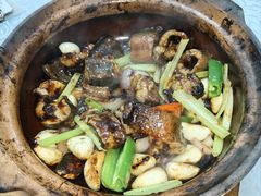 生啫金边花鳝-天宝食坊·啫啫煲大排档(西华路店)