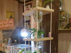 -森活木趣wooderfullife(益田假日广场店)