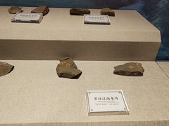 -辽宁古生物博物馆
