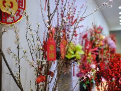 -双季花艺园艺市场(浦东店)