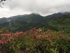 -木兰云雾山
