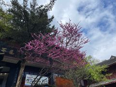 -青城山