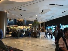 -新加坡瑞士史丹福酒店