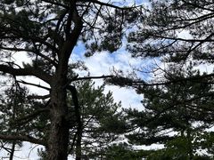 -罗田天堂寨风景区