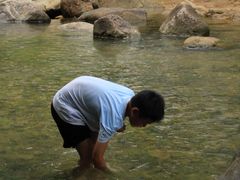 -广州白江湖森林公园