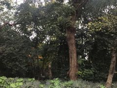 -上海市龙华烈士陵园