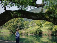 -上坦村