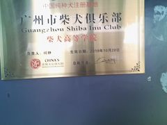 -柴犬高等学院·狗咖·柴犬售卖·宠物训练