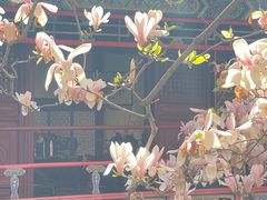 -潭柘寺景区