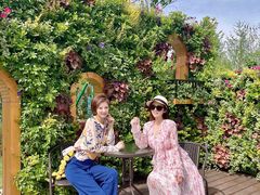-壹只菜·崇明本地特色菜(崇明南门店)