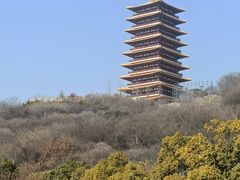 -牛首山文化旅游区
