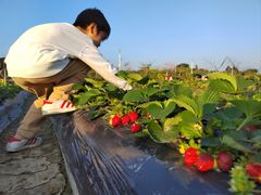 -风云岭森林公园