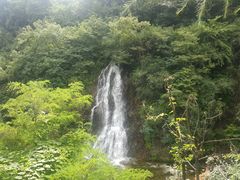-陕西省红河谷森林公园