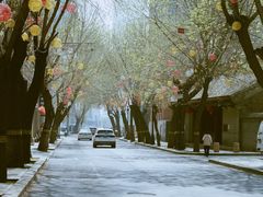 -天津五大道文化旅游区