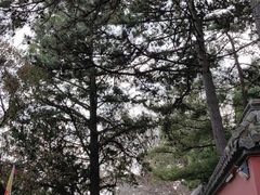 -妙峰山风景名胜区