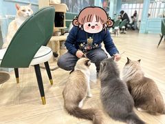 -安格丽娜·狗咖·猫咖羊驼咖(春熙路百盛商场店)