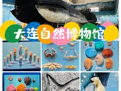 -大连自然博物馆