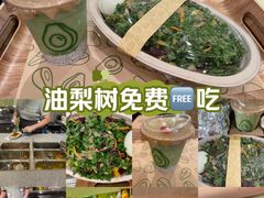 -油梨树AVOCADO TREE(嘉里中心店)