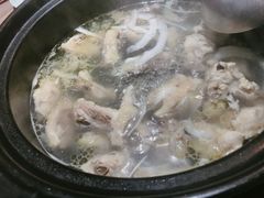 -探窝·竹笙椰子鸡(杨箕店)