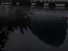 -靖西鹅泉风景区