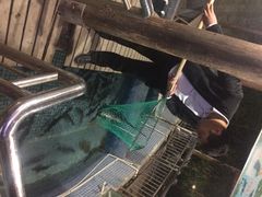 鲤鱼塘农家山庄-鲤鱼塘农家山庄