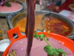 -历蜀记·家宴老火锅(总店)