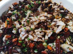 -三猫黑鱼花(南大店)