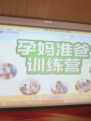 -北京安琪