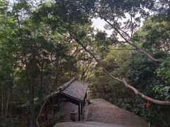 -桃花岛风景旅游区